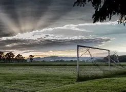 金星执导并,主演,日出,耀世娱乐,耀世娱乐官网