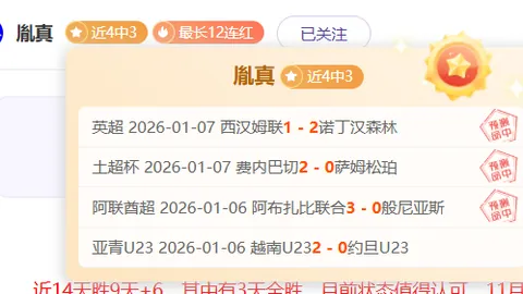 《掘金对决老鹰：NBA巅峰对决，揭秘比赛看点与解读》