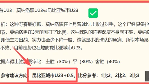 英超报价待定意甲球星莱奥转会悬念揭晓